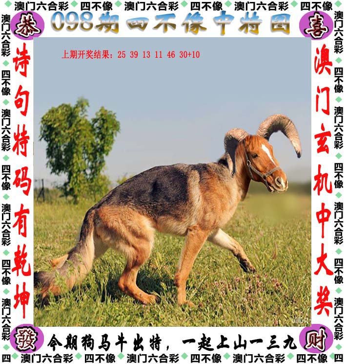 2025澳门精准正版免费大全四不像和2025新澳精准正版免费,全面释义、解释与落实与警惕虚假宣传
